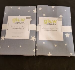 Pottery Barn Kids Shining Star Organic Sham - Blue and White